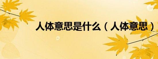 人体意思是什么（人体意思）