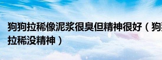 狗狗拉稀像泥浆很臭但精神很好（狗狗又吐又拉稀没精神）