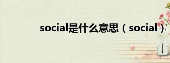 social是什么意思（social）