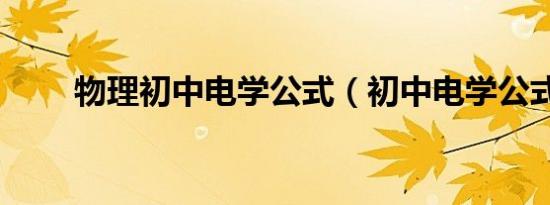 物理初中电学公式（初中电学公式）