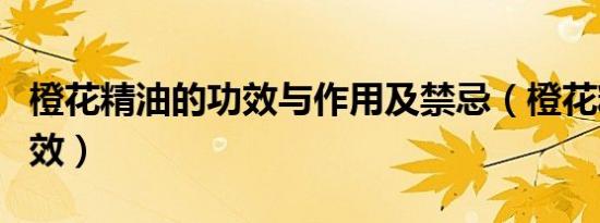 橙花精油的功效与作用及禁忌（橙花精油的功效）