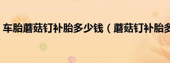 车胎蘑菇钉补胎多少钱（蘑菇钉补胎多少钱）