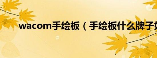 wacom手绘板（手绘板什么牌子好）