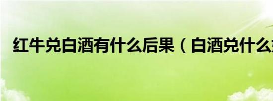 红牛兑白酒有什么后果（白酒兑什么好喝）