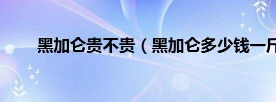 黑加仑贵不贵（黑加仑多少钱一斤）