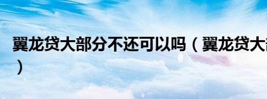 翼龙贷大部分不还可以吗（翼龙贷大部分不还）
