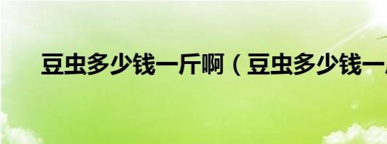豆虫多少钱一斤啊（豆虫多少钱一斤）
