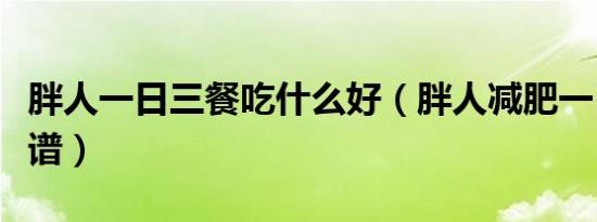 胖人一日三餐吃什么好（胖人减肥一日三餐食谱）