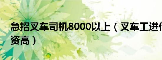 急招叉车司机8000以上（叉车工进什么厂工资高）