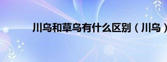 川乌和草乌有什么区别（川乌）