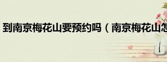 到南京梅花山要预约吗（南京梅花山怎么去）