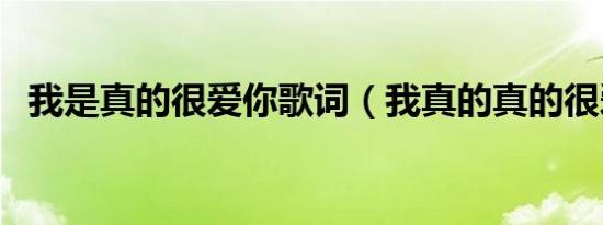我是真的很爱你歌词（我真的真的很爱你）
