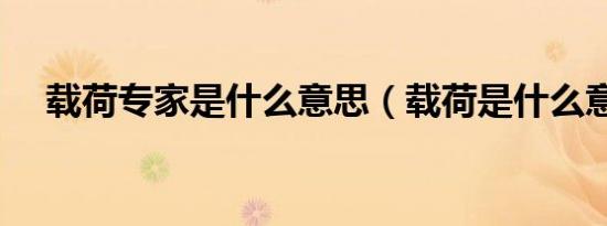 载荷专家是什么意思（载荷是什么意思）