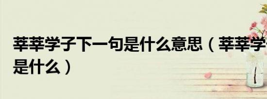 莘莘学子下一句是什么意思（莘莘学子下一句是什么）