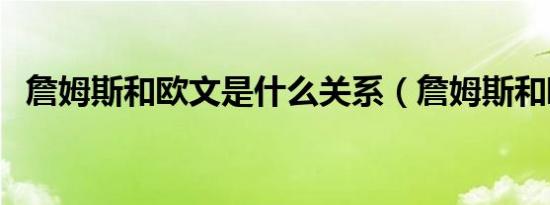 詹姆斯和欧文是什么关系（詹姆斯和欧文）