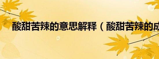 酸甜苦辣的意思解释（酸甜苦辣的成语）