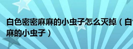 白色密密麻麻的小虫子怎么灭掉（白色密密麻麻的小虫子）