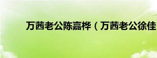 万茜老公陈嘉桦（万茜老公徐佳）