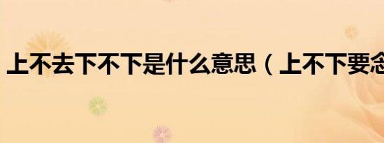 上不去下不下是什么意思（上不下要念什么）