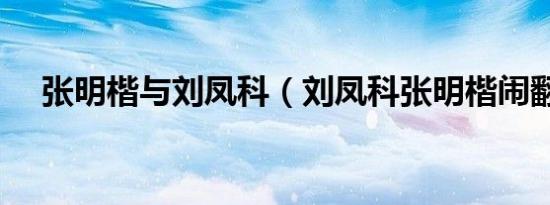 张明楷与刘凤科（刘凤科张明楷闹翻了）