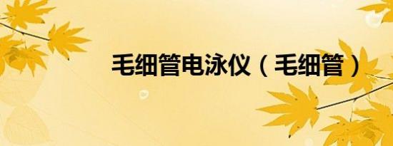 毛细管电泳仪（毛细管）
