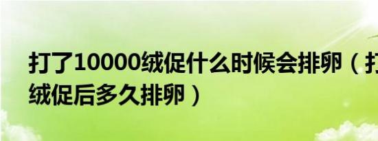 打了10000绒促什么时候会排卵（打10000绒促后多久排卵）