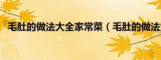 毛肚的做法大全家常菜（毛肚的做法大全）