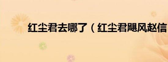 红尘君去哪了（红尘君飓风赵信）