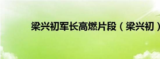 梁兴初军长高燃片段（梁兴初）