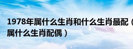1978年属什么生肖和什么生肖最配（1978年属什么生肖配偶）