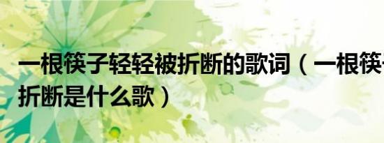 一根筷子轻轻被折断的歌词（一根筷子轻轻被折断是什么歌）