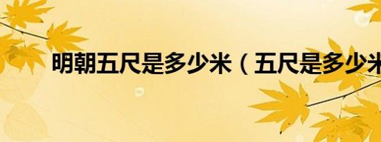 明朝五尺是多少米（五尺是多少米）