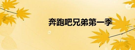 奔跑吧兄弟第一季
