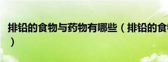 排铅的食物与药物有哪些（排铅的食物有哪些）