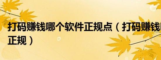 打码赚钱哪个软件正规点（打码赚钱哪个软件正规）
