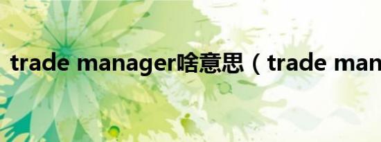 trade manager啥意思（trade manager）