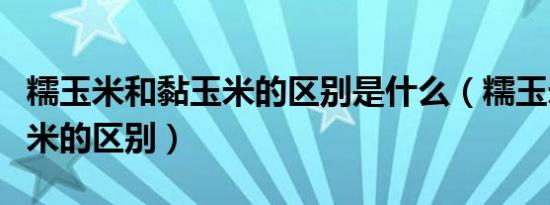 糯玉米和黏玉米的区别是什么（糯玉米和黏玉米的区别）