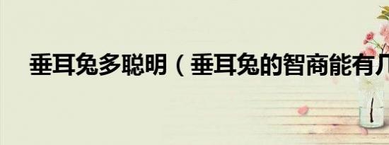 垂耳兔多聪明（垂耳兔的智商能有几岁）
