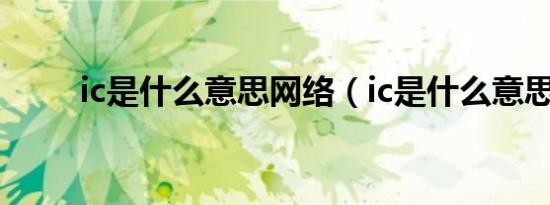 ic是什么意思网络（ic是什么意思）