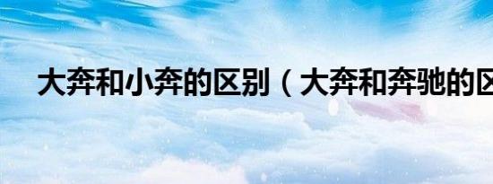 大奔和小奔的区别（大奔和奔驰的区别）