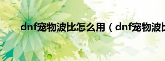 dnf宠物波比怎么用（dnf宠物波比）