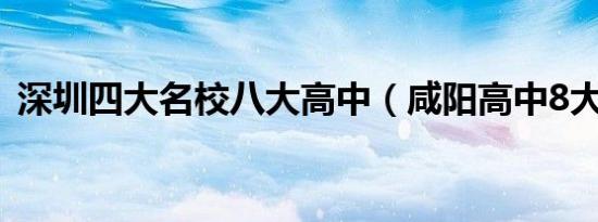 深圳四大名校八大高中（咸阳高中8大名校）