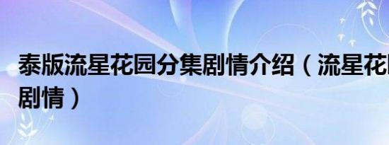 泰版流星花园分集剧情介绍（流星花园第二部剧情）