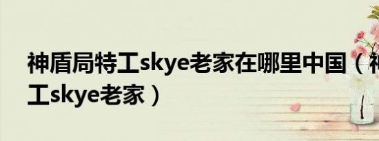 神盾局特工skye老家在哪里中国（神盾局特工skye老家）