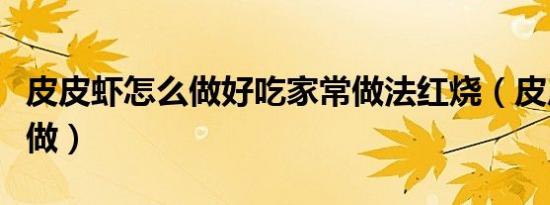 皮皮虾怎么做好吃家常做法红烧（皮皮虾怎么做）