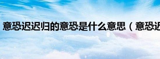 意恐迟迟归的意恐是什么意思（意恐迟迟归）