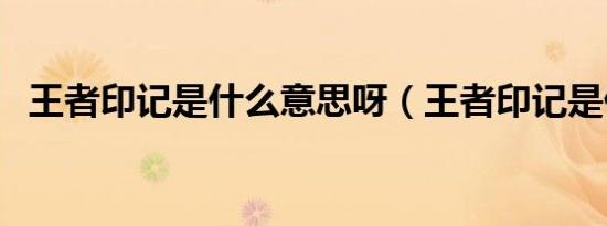 王者印记是什么意思呀（王者印记是什么）
