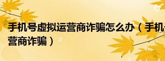 手机号虚拟运营商诈骗怎么办（手机号虚拟运营商诈骗）