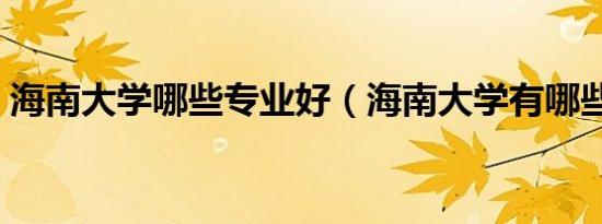海南大学哪些专业好（海南大学有哪些专业）