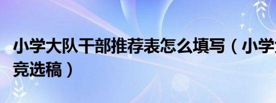 小学大队干部推荐表怎么填写（小学大队干部竞选稿）